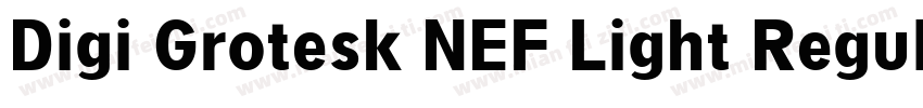 Digi Grotesk NEF Light Regular字体转换
